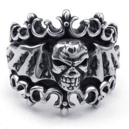 Modern Ontwerp Met Briljante Kleuren Die Warme Lof Oogsten Van Klanten. Titanium Ring