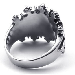 Modern Ontwerp Met Briljante Kleuren Die Warme Lof Oogsten Van Klanten. Titanium Ring
