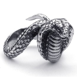 Weelderig Ontwerp, Delicate Kleuren, Betrouwbare Kwaliteit Titanium Ring