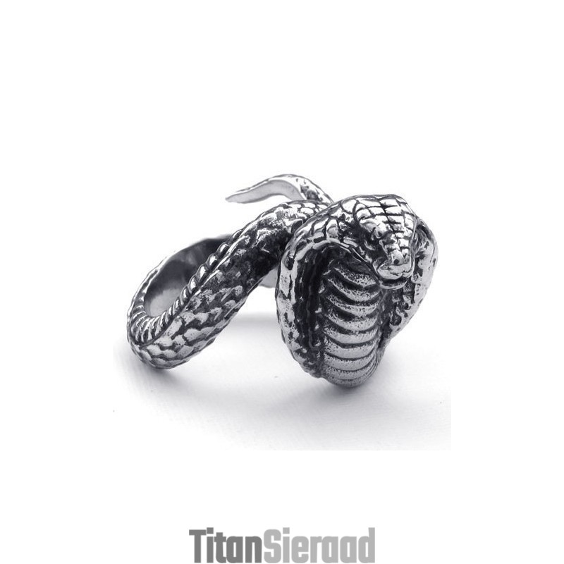 Weelderig Ontwerp, Delicate Kleuren, Betrouwbare Kwaliteit Titanium Ring Weelderig Ontwerp, Delicate Kleuren, Betrouwbare Kwaliteit Titanium Ring
