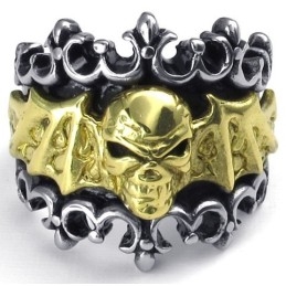 Vakkundige Vervaardiging, Kleurbriljantie, Duurzaam In Gebruik, Titanium Ring