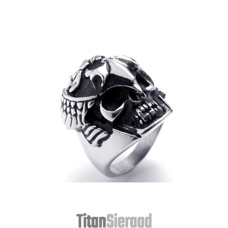 Modern Design, Delicate Kleuren, Hoogwaardige Titanium Ring