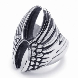 Professioneel Ontwerp, Kleurbriljantie, Uitstekende Kwaliteit Titanium Ring