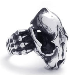 Aantrekkelijk Ontwerp, Delicate Kleuren, Stabiele Kwaliteit Titanium Ring