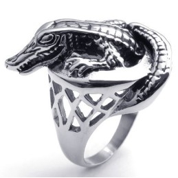 Geavanceerde Technologie Delicate Kleuren Voor Een Lang Verhaal Titanium Ring