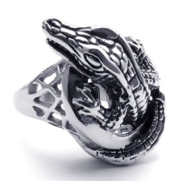 Geavanceerde Technologie Delicate Kleuren Voor Een Lang Verhaal Titanium Ring