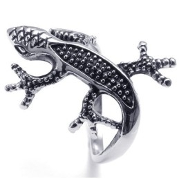 Aantrekkelijk Ontwerp, Delicate Kleuren Voor Een Lang Verhaal: Titanium Ring