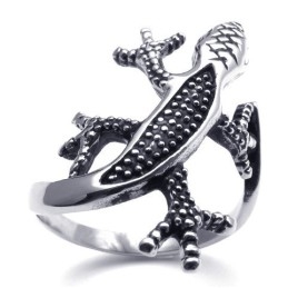 Aantrekkelijk Ontwerp, Delicate Kleuren Voor Een Lang Verhaal: Titanium Ring
