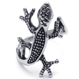 Aantrekkelijk Ontwerp, Delicate Kleuren Voor Een Lang Verhaal: Titanium Ring