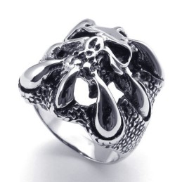 Fijn Bewerkte Delicate Kleuren Voor Een Langdurige Reputatie: Titanium Ring