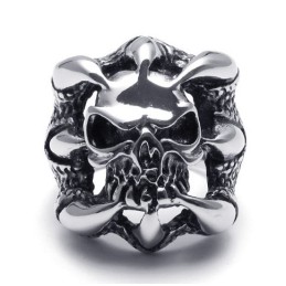 Fijn Bewerkte Delicate Kleuren Voor Een Langdurige Reputatie: Titanium Ring