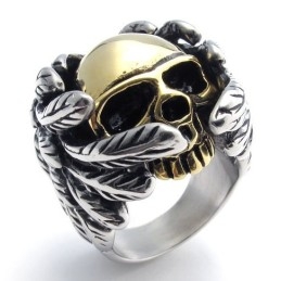 Modern Design, Kleurbriljantie, Superieure Kwaliteit Titanium Ring
