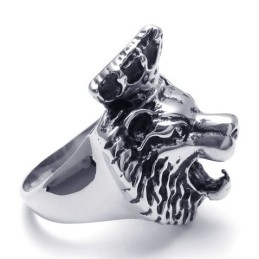 Nieuwste Technologie Delicate Kleuren Superieure Kwaliteit Titanium Ring