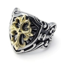 Modieuze Patronen, Kleurbriljantie, Superieure Kwaliteit Titanium Ring