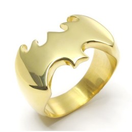 Elegante Vorm, Prachtige Kleuren, Hoogwaardige Titanium Ring