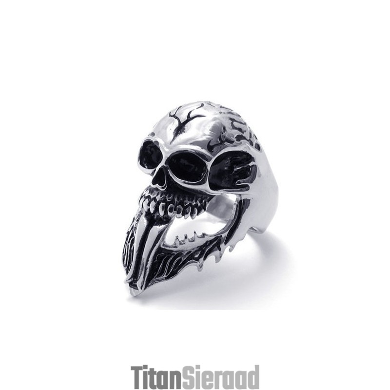 Voor Uw Selectie Kleurbriljantie Om Een Lang Verhaal Te Hebben Titanium Ring