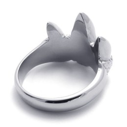 Vakkundige Vervaardiging, Kleurbriljantie, Duurzaam In Gebruik, Titanium Ring