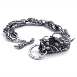 Aantrekkelijk Ontwerp, Kleurbriljantie, Superieure Kwaliteit Titanium Armband