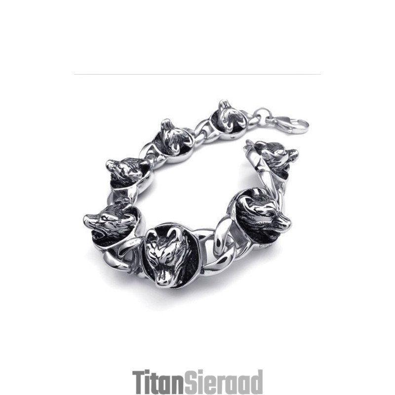 Weelderig Ontwerp, Schitterende Kleuren, Hoogwaardige Titanium Armband