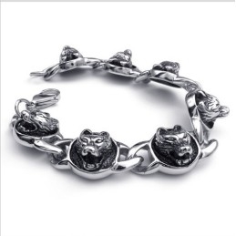 Weelderig Ontwerp, Schitterende Kleuren, Hoogwaardige Titanium Armband