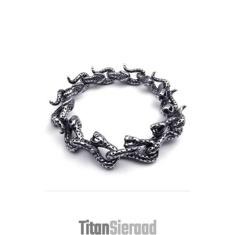 Modern Ontwerp, Kleurbriljantie, Uitstekende Kwaliteit Titanium Armband Modern Ontwerp, Kleurbriljantie, Uitstekende Kwaliteit Titanium Armband