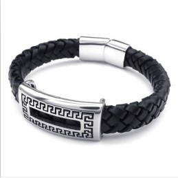 Behendig Ontwerp, Delicate Kleuren, Betrouwbare Kwaliteit Titanium Leren Armband
