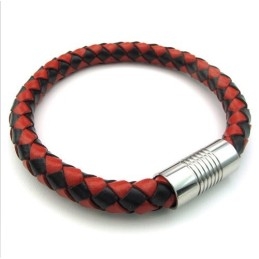 Deft Design Delicate Kleuren Uitstekende Kwaliteit Titanium Leren Bangle