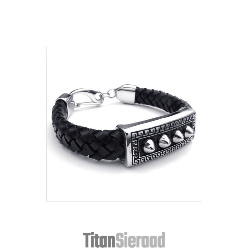Behendig Ontwerp, Delicate Kleuren, Betrouwbare Kwaliteit Titanium Leren Armband
