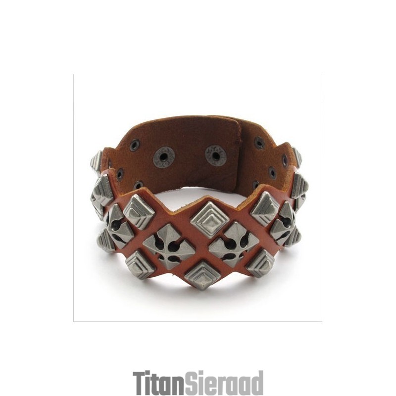 Modern Design, Delicate Kleuren, Uitstekende Kwaliteit Titanium Leren Armband