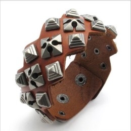 Modern Design, Delicate Kleuren, Uitstekende Kwaliteit Titanium Leren Armband