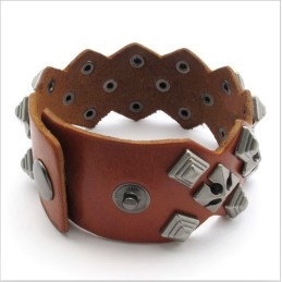 Modern Design, Delicate Kleuren, Uitstekende Kwaliteit Titanium Leren Armband