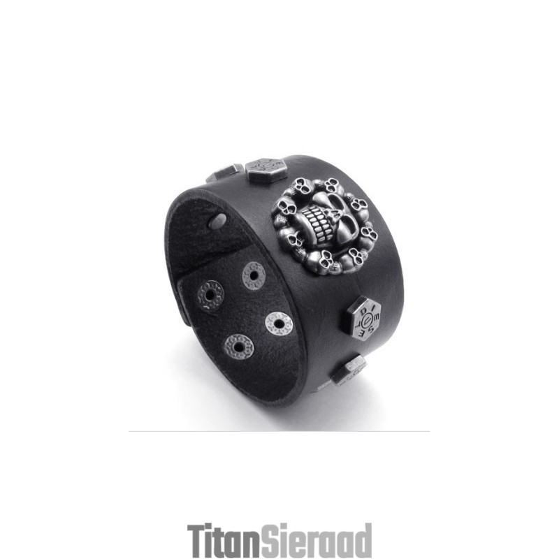 Aantrekkelijk Ontwerp, Delicate Kleuren, Betrouwbare Kwaliteit Titanium Leren Armband