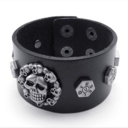 Aantrekkelijk Ontwerp, Delicate Kleuren, Betrouwbare Kwaliteit Titanium Leren Armband