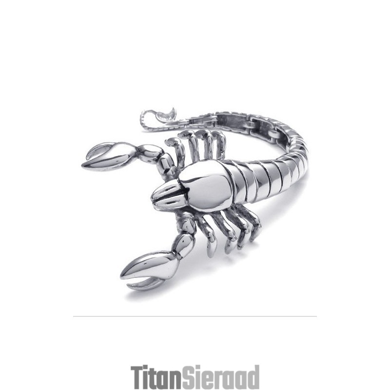 Modern Ontwerp, Kleurbriljantie, Superieure Kwaliteit Titanium Armband