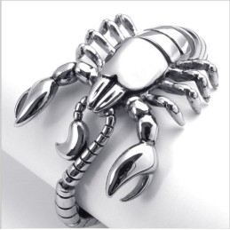 Modern Ontwerp, Kleurbriljantie, Superieure Kwaliteit Titanium Armband