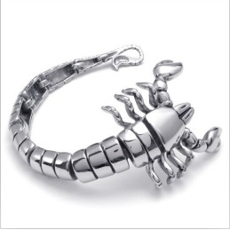 Modern Ontwerp, Kleurbriljantie, Superieure Kwaliteit Titanium Armband