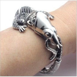 Modern Ontwerp, Kleurbriljantie, Uitstekende Kwaliteit Titanium Armband