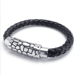 Modern Design, Delicate Kleuren, Betrouwbare Kwaliteit Titanium Leren Armband