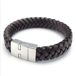 Behendig Ontwerp, Briljante Kleuren, Betrouwbare Kwaliteit Titanium Armband