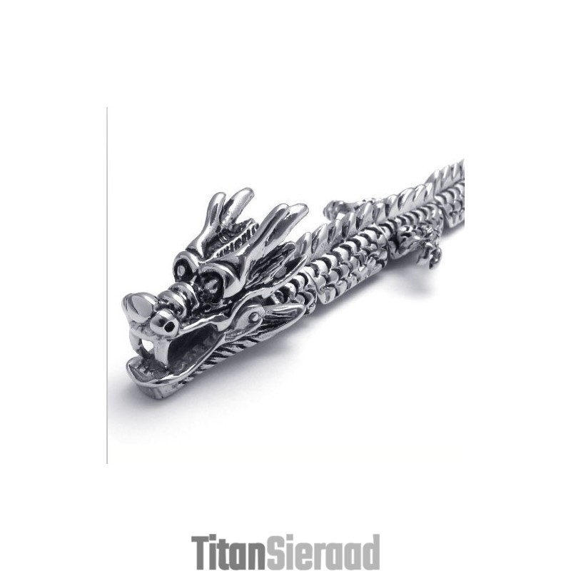 Geavanceerde Technologie Kleurbriljantie Uitstekende Kwaliteit Titanium Armband