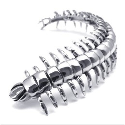 Modern Ontwerp, Kleurbriljantie, Superieure Kwaliteit Titanium Armband