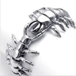Modern Ontwerp, Kleurbriljantie, Superieure Kwaliteit Titanium Armband
