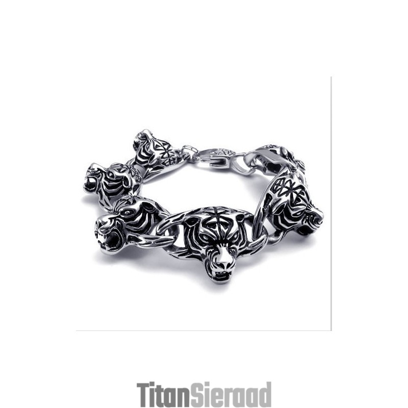 Geavanceerde Technologie Kleurbriljantie Uitstekende Kwaliteit Titanium Armband Geavanceerde Technologie Kleurbriljantie Uitstekende Kwaliteit Titanium Armband