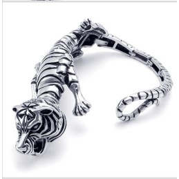 Geavanceerde Technologie, Delicate Kleuren, Uitstekende Kwaliteit Titanium Armband