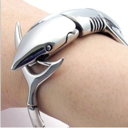 Modern Ontwerp, Kleurbriljantie, Superieure Kwaliteit Titanium Armband