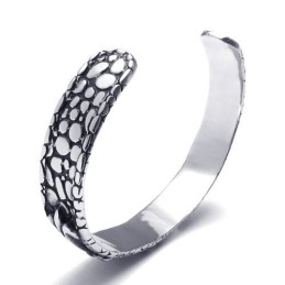 Geavanceerde Technologie Delicate Kleuren Uitstekende Kwaliteit Titanium Armband