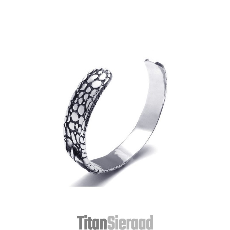Geavanceerde Technologie Delicate Kleuren Uitstekende Kwaliteit Titanium Armband Geavanceerde Technologie Delicate Kleuren Uitstekende Kwaliteit Titanium Armband
