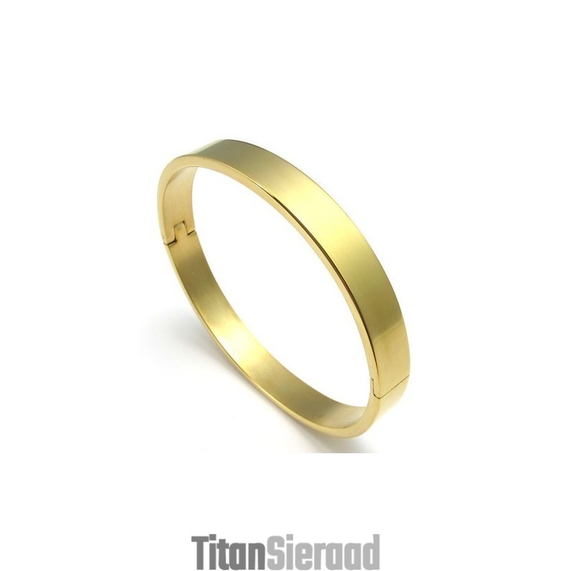 Geavanceerde Technologie Prachtige Kleuren Superieure Kwaliteit Titanium Armband Geavanceerde Technologie Prachtige Kleuren Superieure Kwaliteit Titanium Armband