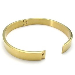 Geavanceerde Technologie Prachtige Kleuren Superieure Kwaliteit Titanium Armband