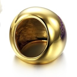 De Koning Van De Hoeveelheid Mannelijke Overdrijven Titanium Ring